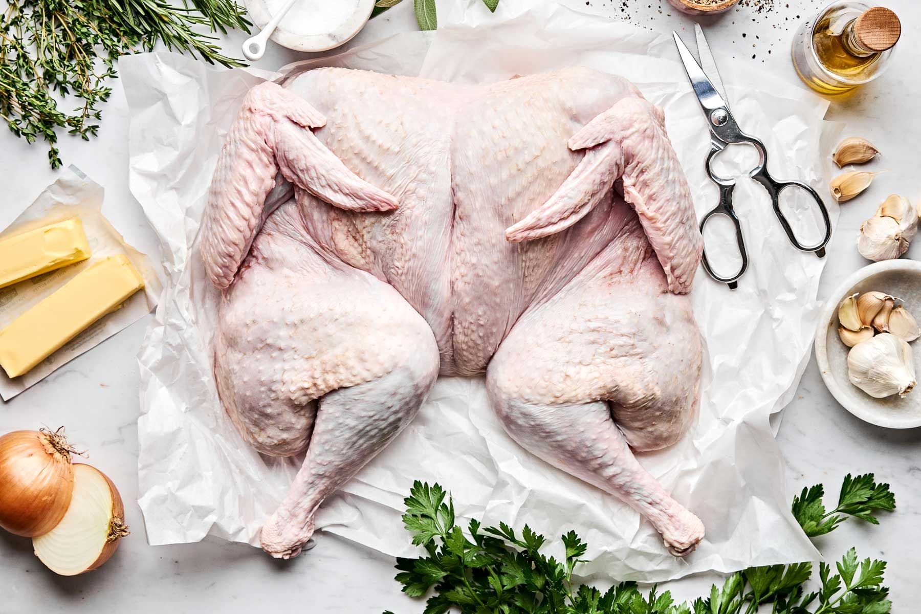 Turkey