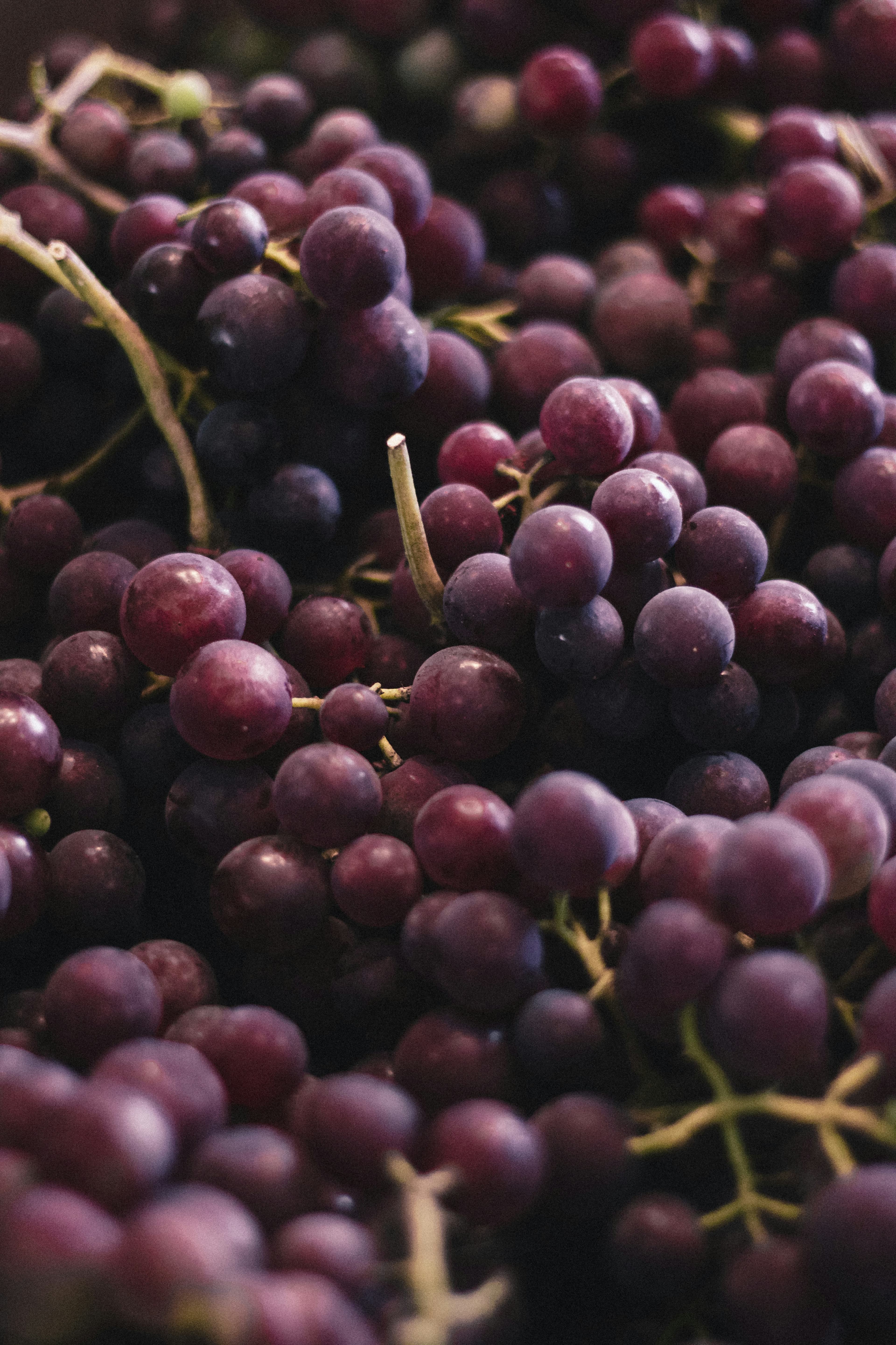Grapes & Mangoes