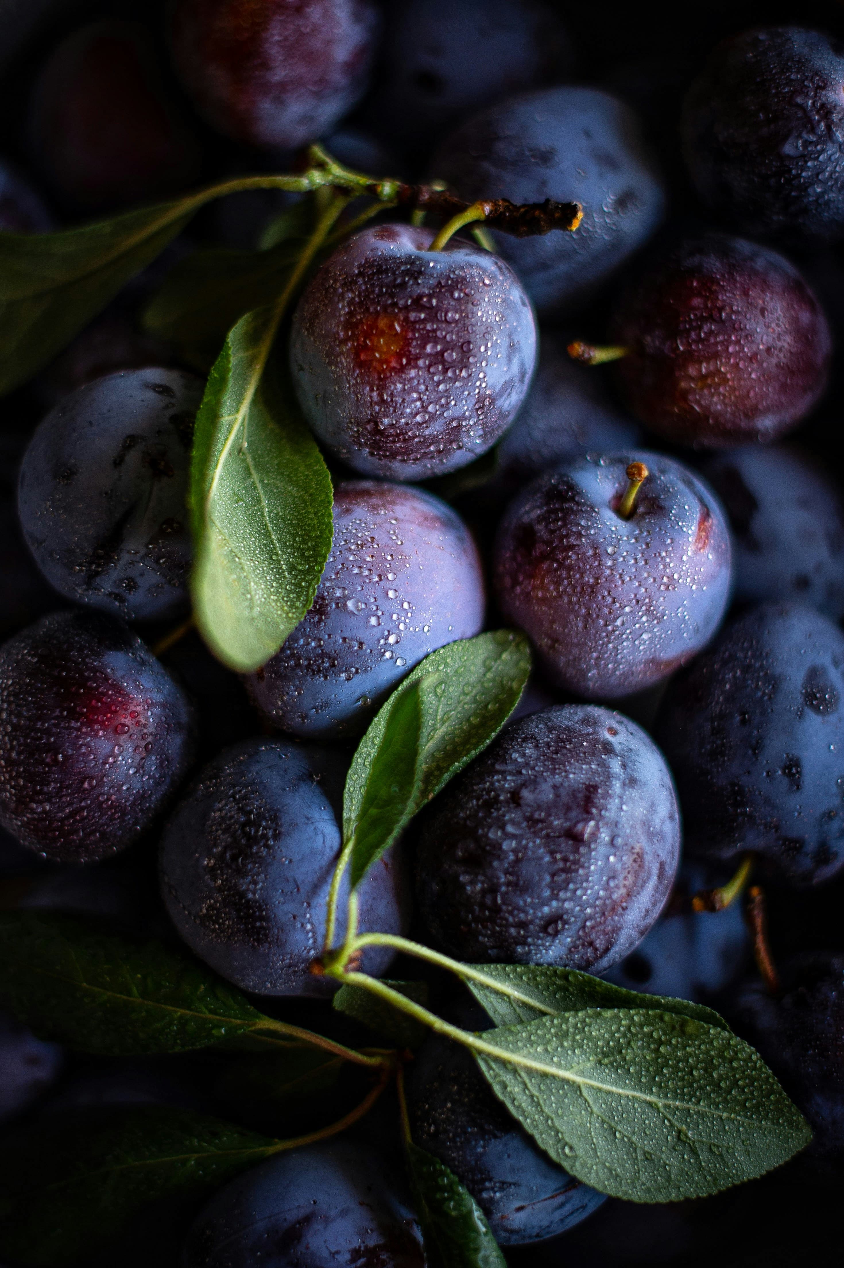 Berries & Cherries