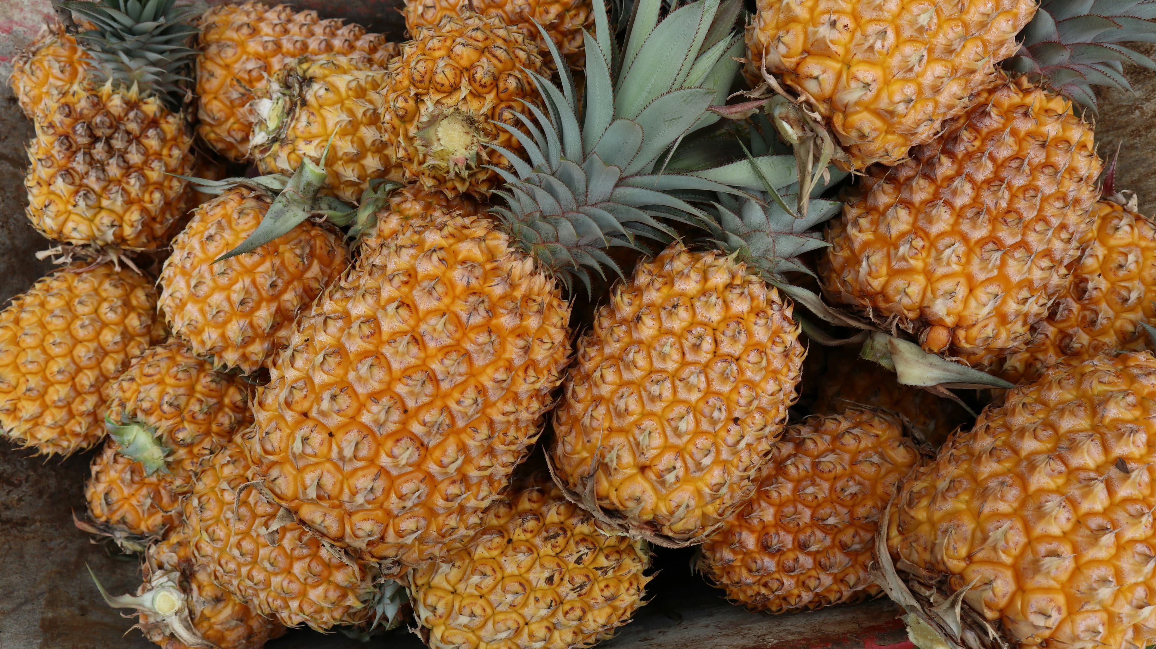 Fresh Pineapples