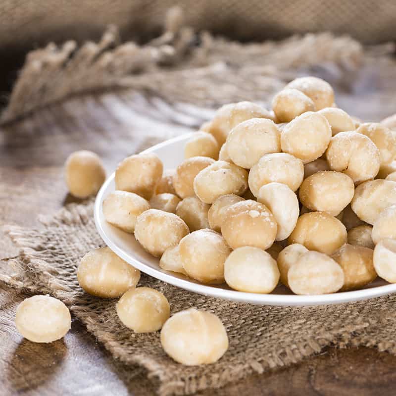 Macadamia