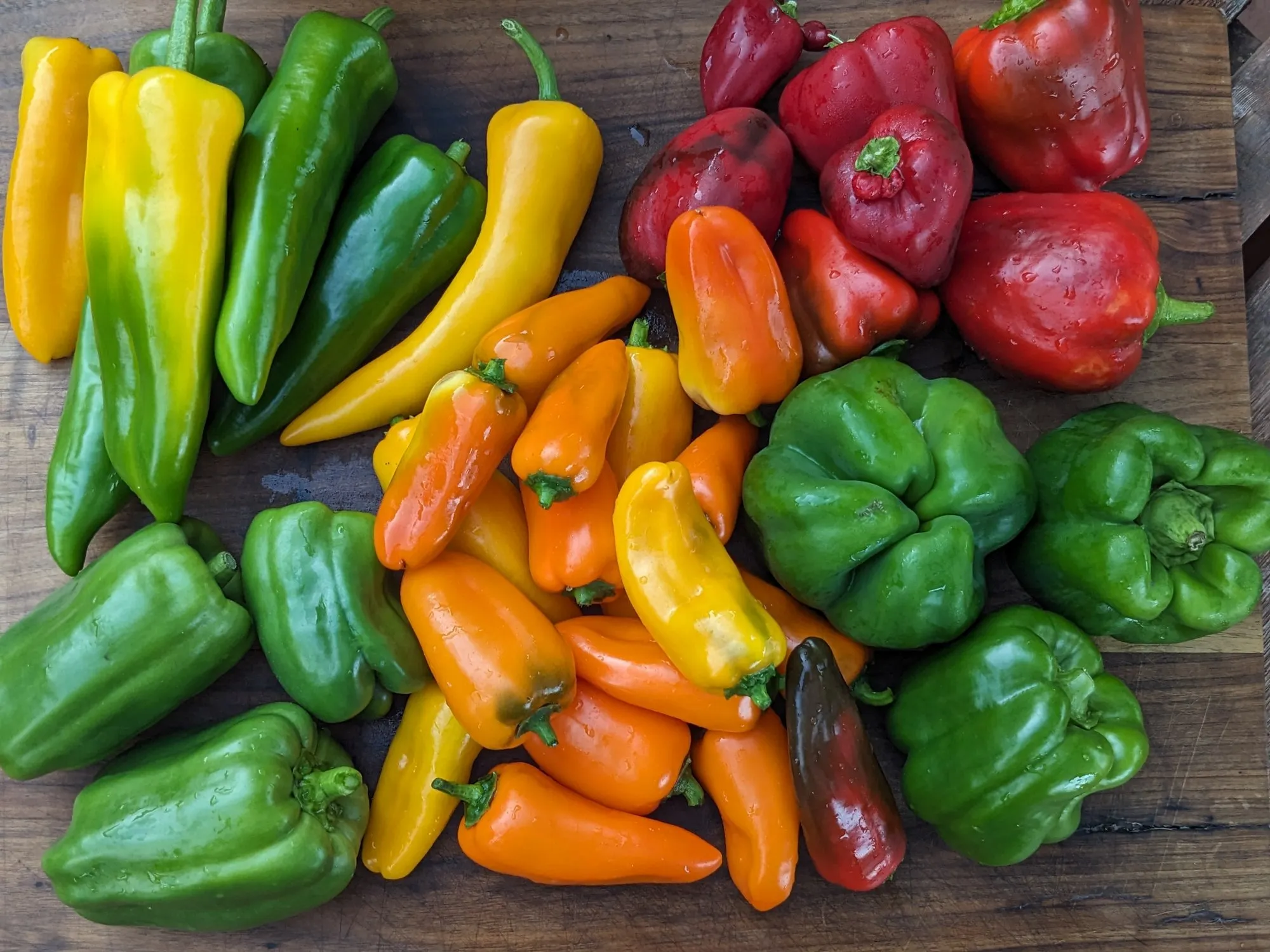 Eggplant & Peppers