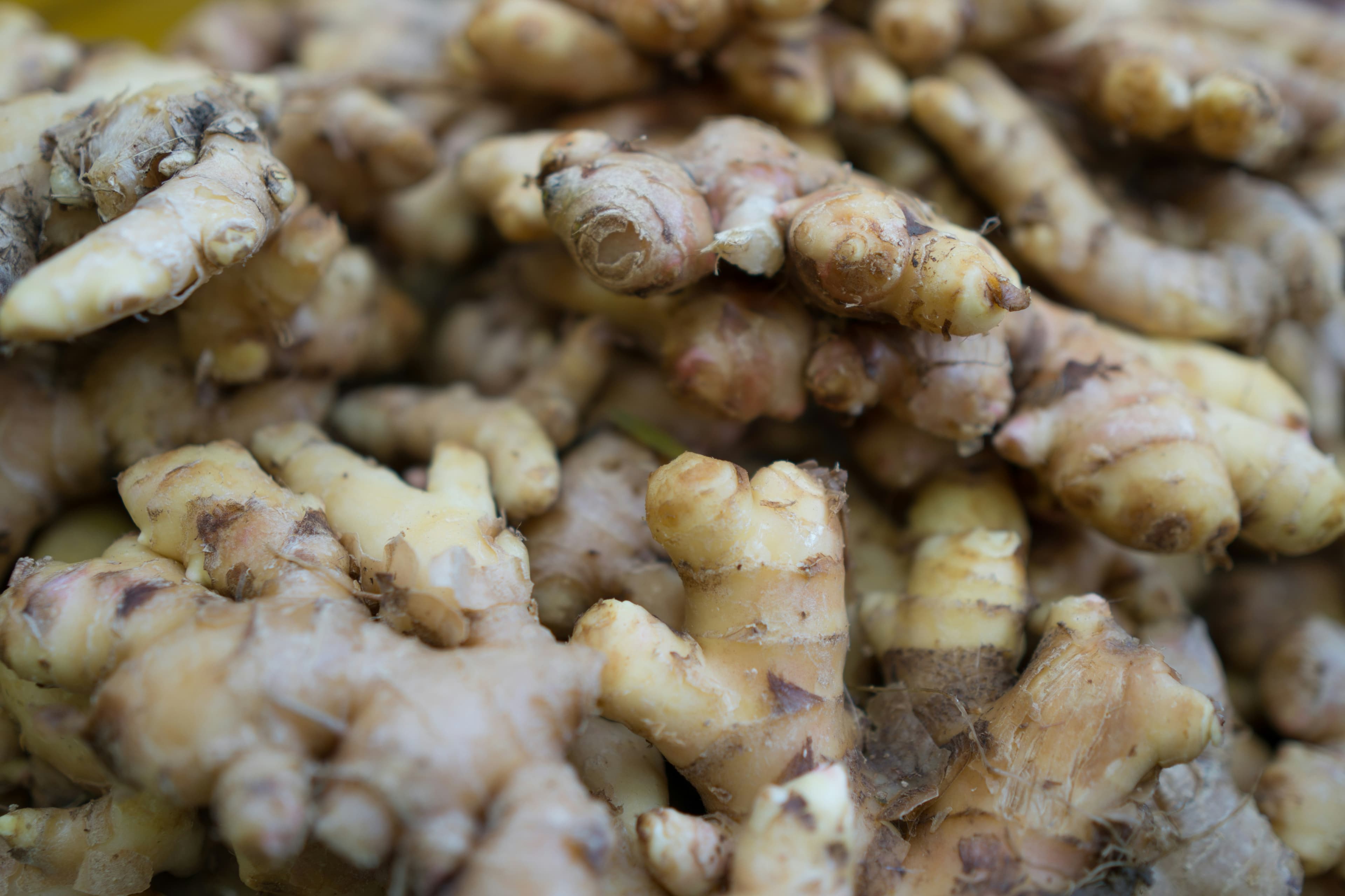 Garlic & Ginger