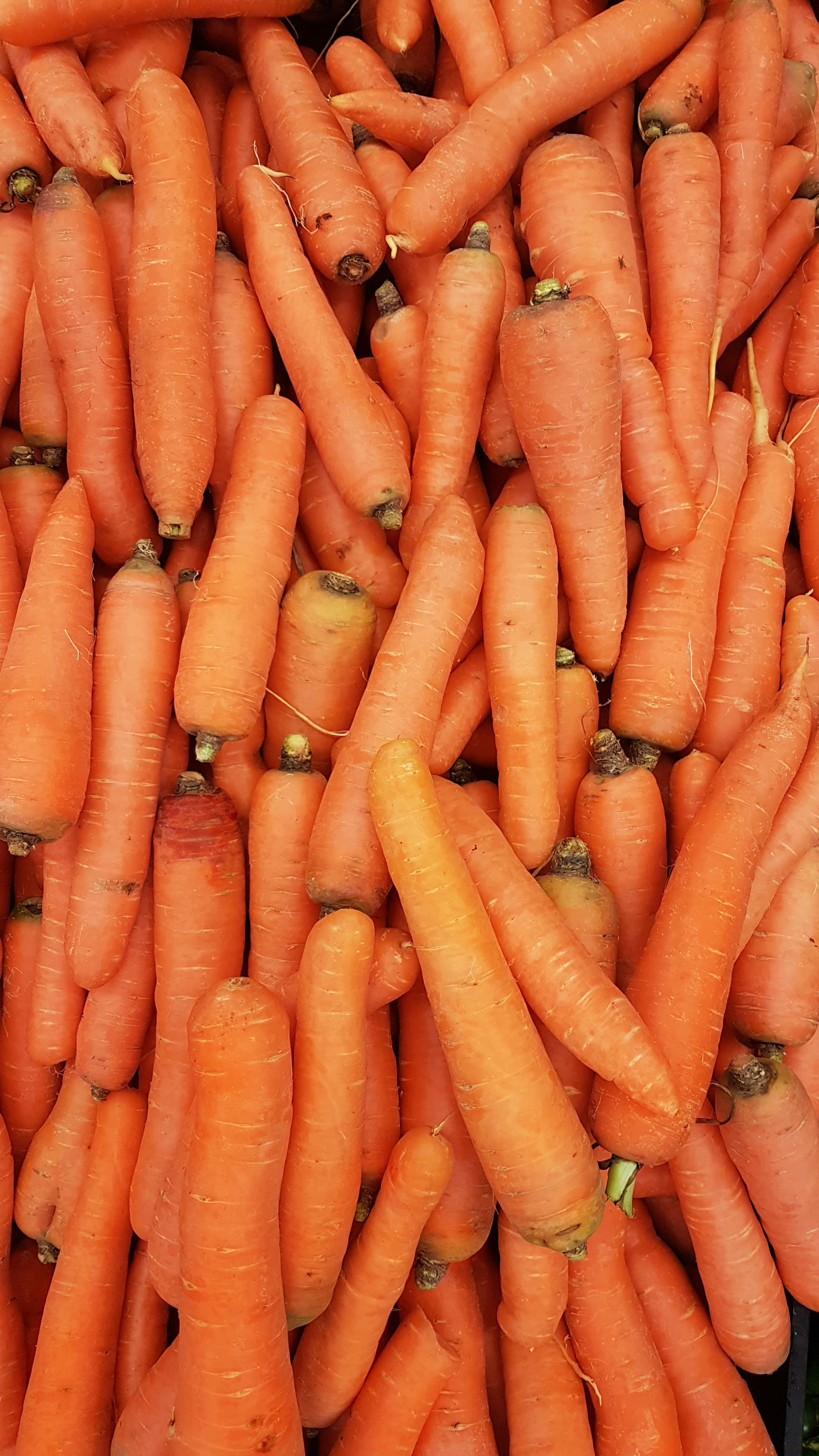 Carrots & Cucumbers